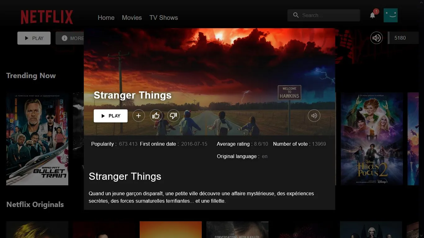 Projet Netflix